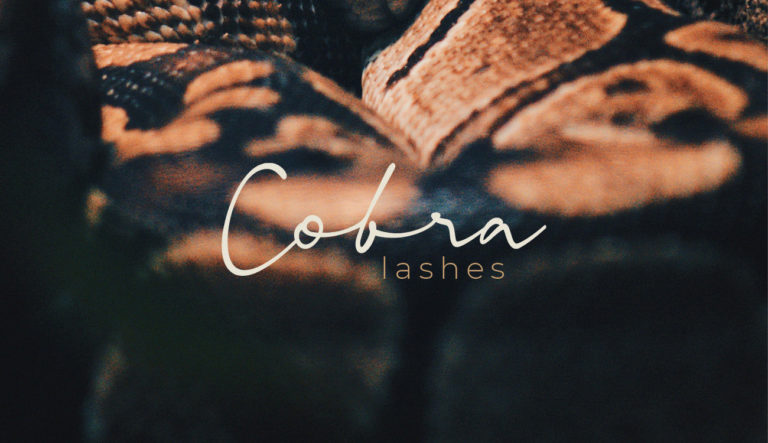 Cobra - Concepting voor branding